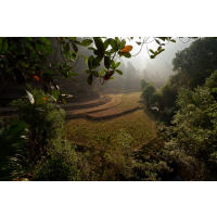 DoiSter.....ชีวิตเทียมเมฆ DoiSter.....ชีวิตเทียมเมฆ