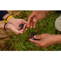 ท่องเที่ยววิถีถิ่นแบบ Cool I-San (ตอนที่ 1) ท่องเที่ยววิถีถิ่นแบบ Cool I-San (ตอนที่ 1)